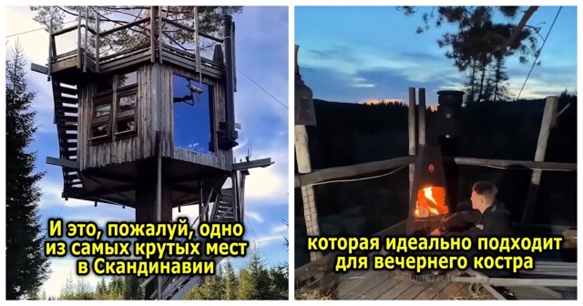 Вращающийся домик на дереве посреди леса