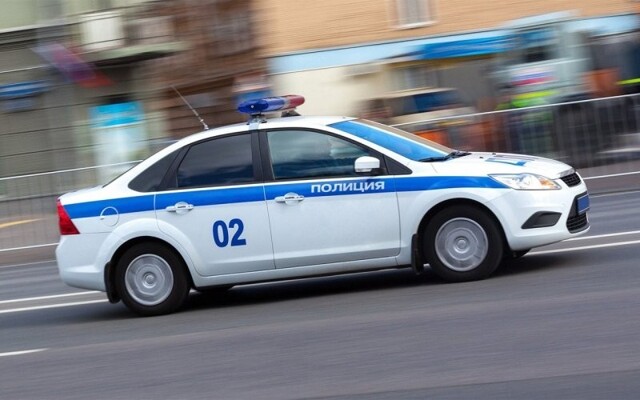В Каменске-Уральском женщина натравила бойцовых псов на мужчину и поплатилась