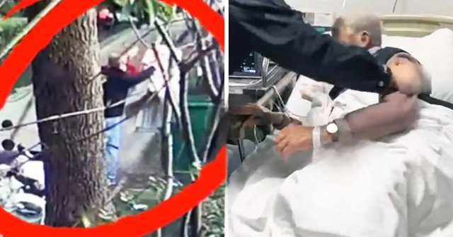 Сын выкинул папино одеяло, не зная, что внутри спрятаны деньги