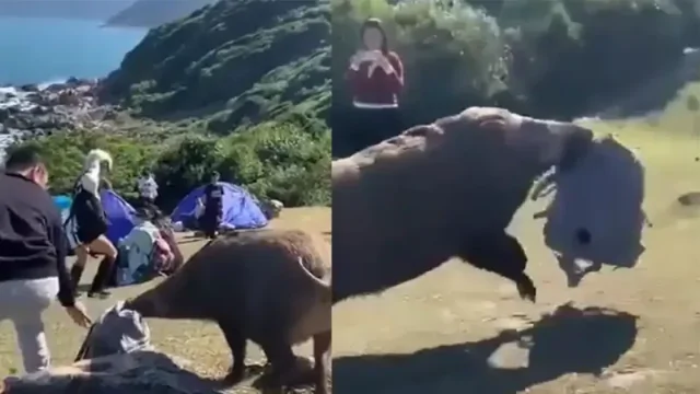 Попытка ограбления туриста