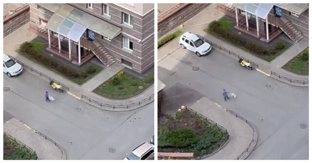 Мальчик раскрутил свою собаку на поводке