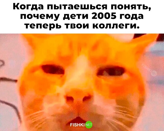 Не ищите здесь смысл. Здесь в основном маразм