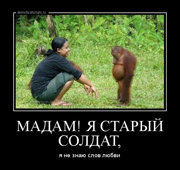 Всяко-разно в понедельник