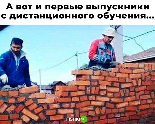 Скрины из соцсетей