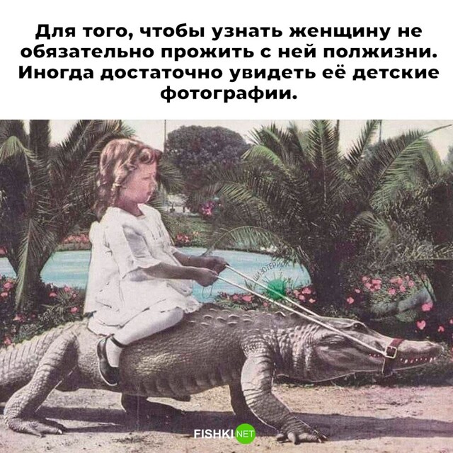 Не ищите здесь смысл. Здесь в основном маразм