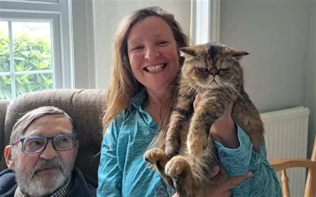 Застрявшая кошка выживала три недели на "диете" из пива и насекомых