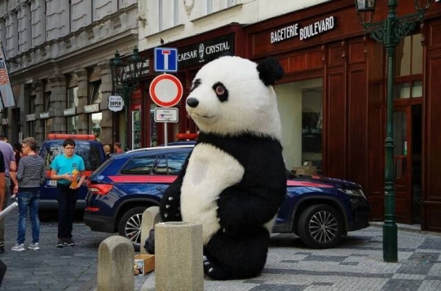 Намешалось