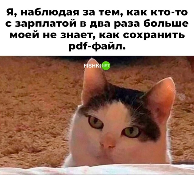 Не ищите здесь смысл. Здесь в основном маразм