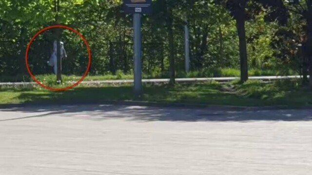 Воровка года