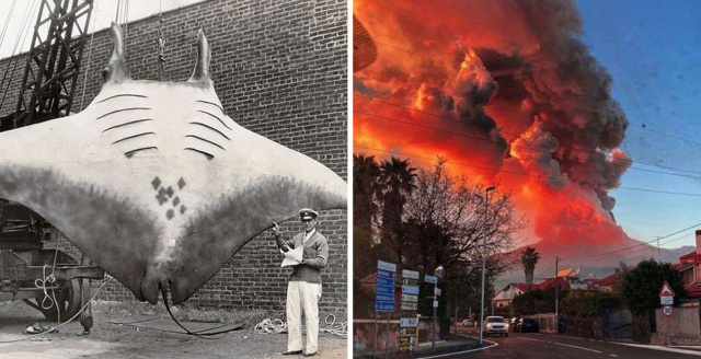 25 фото прошлых лет, которые четко отражают некоторые исторические моменты