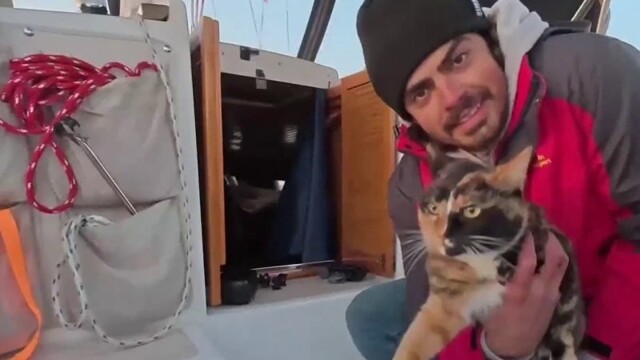 Мужчина уволился с постоянной работы, отправился в путешествие по Тихому океану вместе со своей кошкой