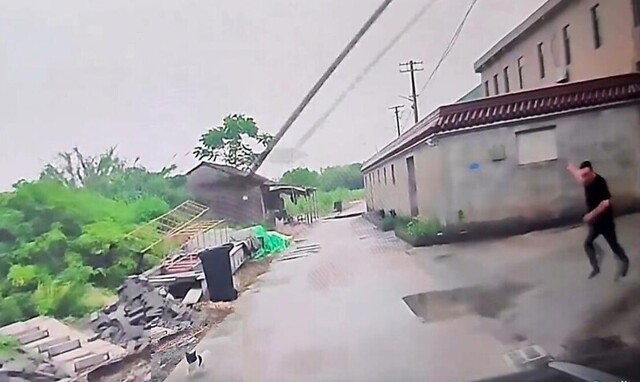 Владелец с лопатой, гонясь за псом, чудом не угодил под машину