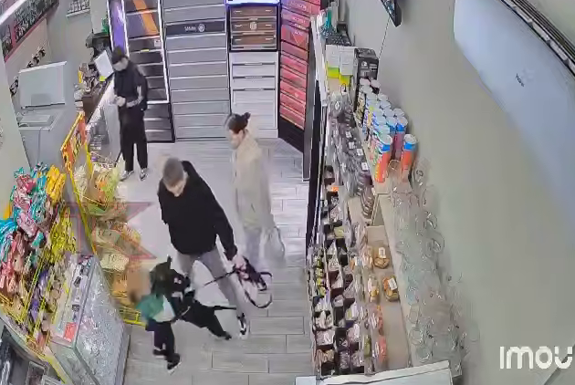 В Краснодаре собака в присутствии хозяина укусила ребёнка за лицо