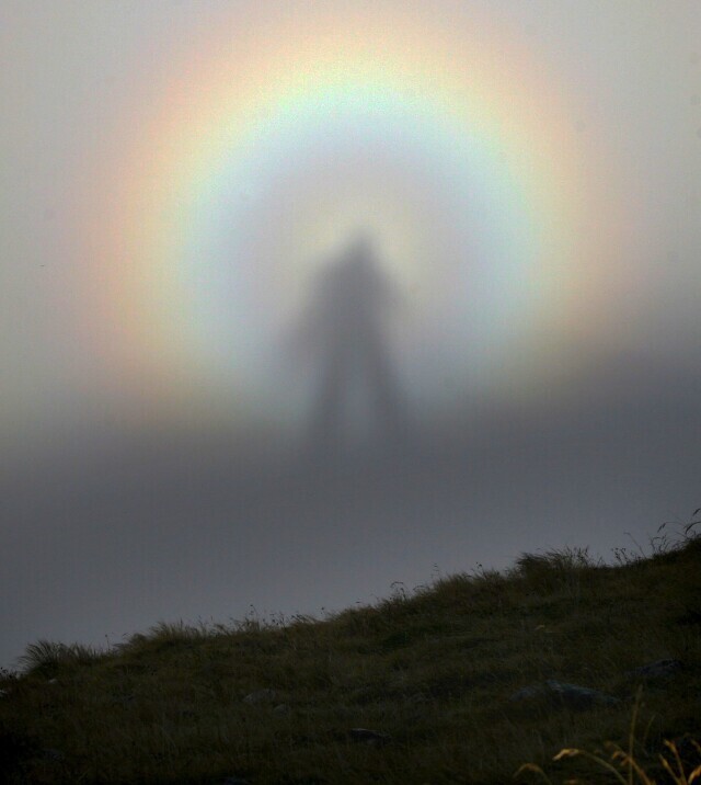 Забавные моменты-1