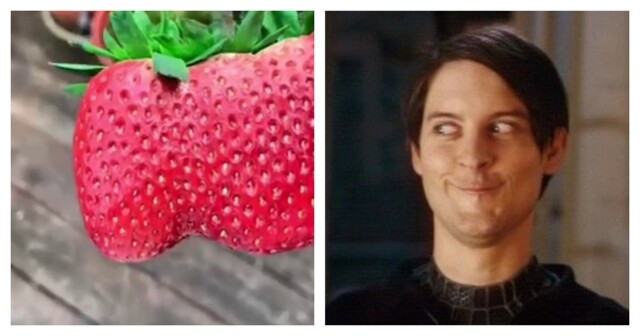 Впечатляющий размер клубники