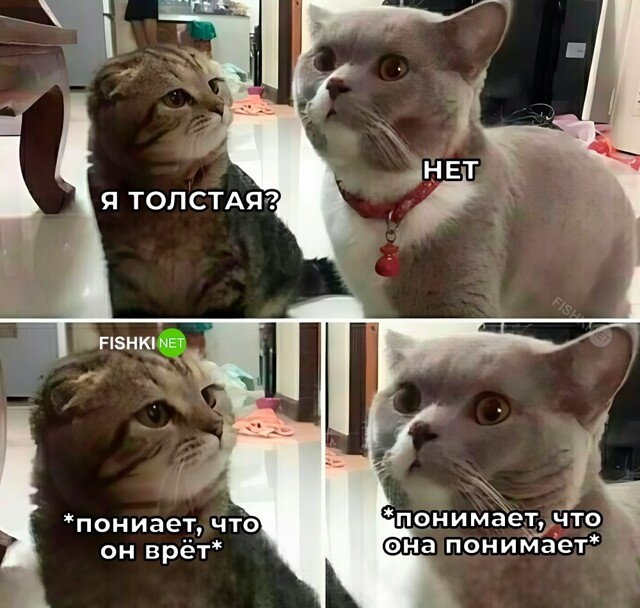 Скрины из соцсетей