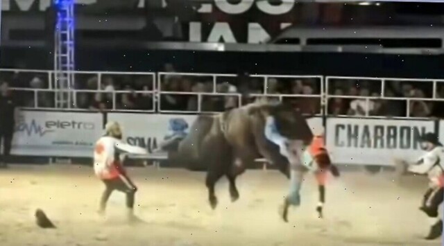 Бык едва не покалечил любителя острых ощущений