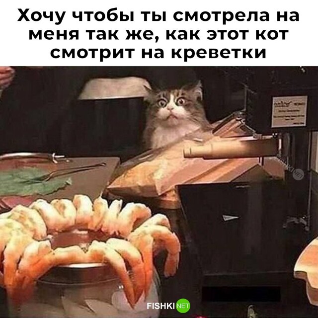 Не ищите здесь смысл. Здесь в основном маразм