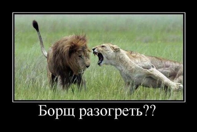 Демотиваторов пост