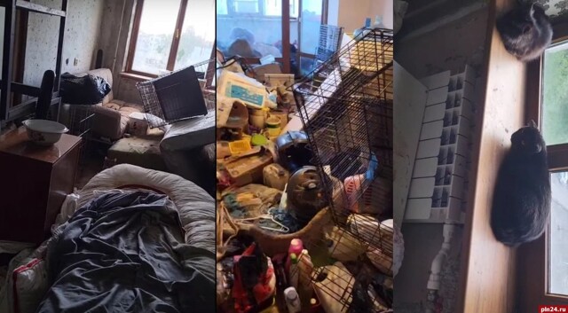 В Пскове псевдоволонтёр устроила кошачий ад в собственной квартире