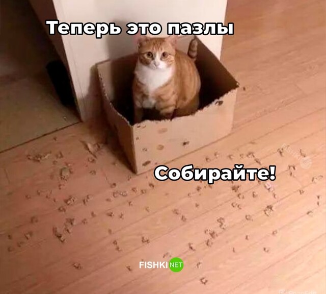Скрины из соцсетей