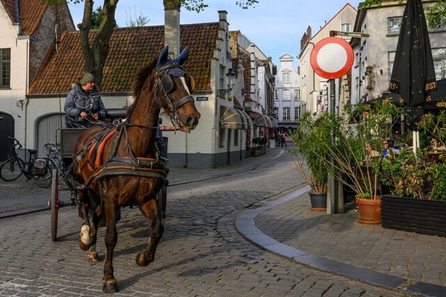 В Брюгге туристов просят не красть брусчатку с улиц