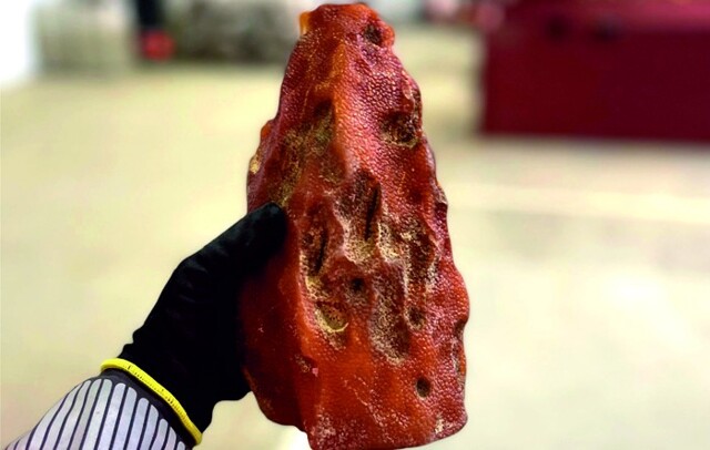 Редкий янтарь возрастом 40 миллионов лет нашли под Калининградом