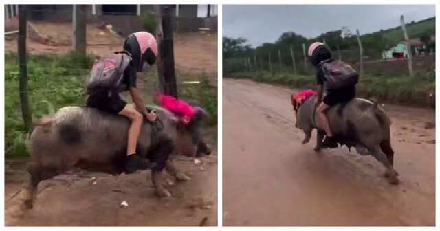 Коротко о том, как во вьетнамской деревне дети добираются до школы