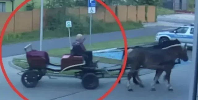 Пьяный мужчина приехал в полицию на лошади, потому что ему запретили водить авто
