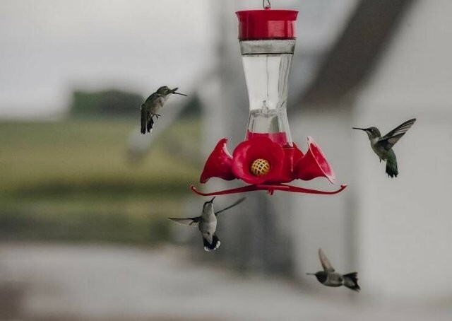 Намешалось 