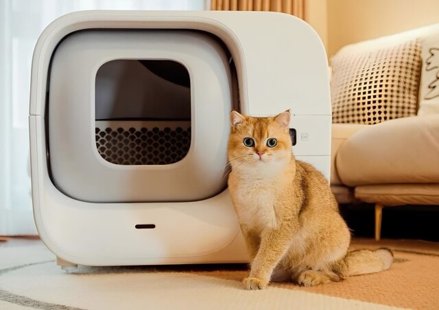 Умный кошачий лоток, который сам убирает за питомцем