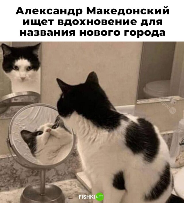 Не ищите здесь смысл. Здесь в основном маразм