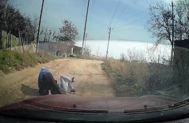 В Астрахани мужчина сбил с ног и принялся душить женщину, кормившую бездомных собак