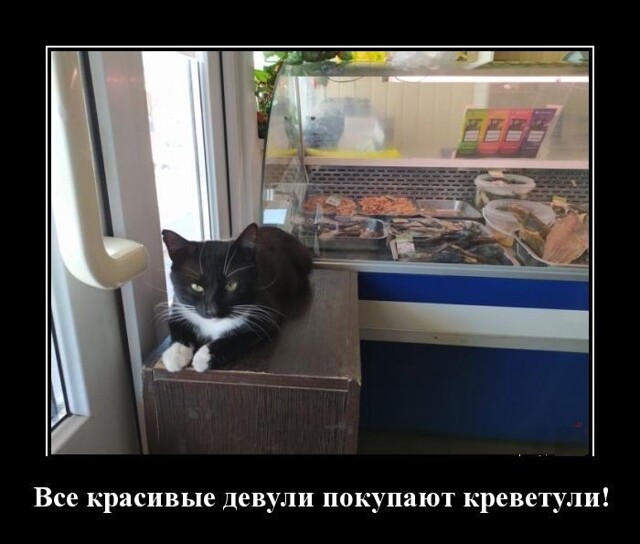 Демотиваторы для настроения