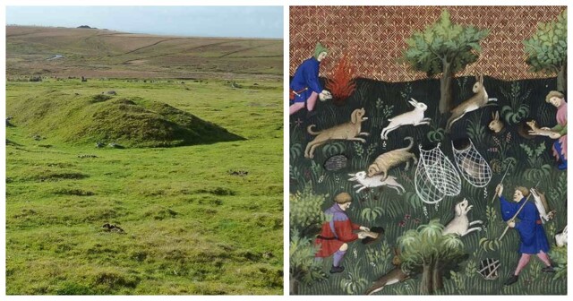 Уоррены — подземные кроличьи города Средневековья