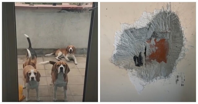 Так выглядит новая квартира после двух лет аренды