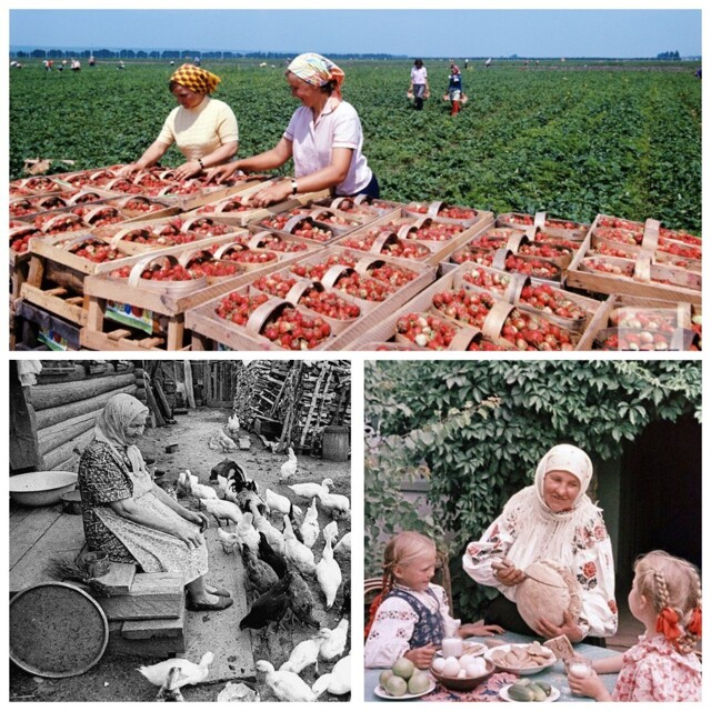 Интересные фотографии времен СССР