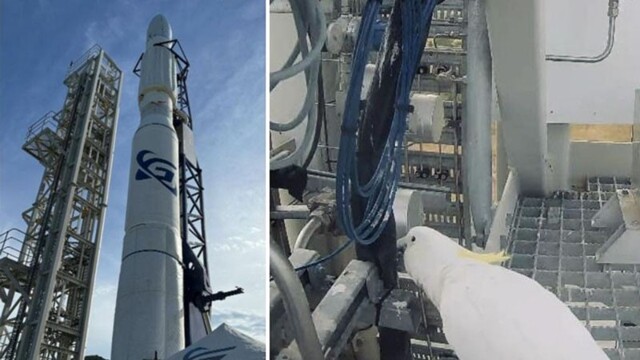 Попугай сорвал запуск первой австралийской космической ракеты