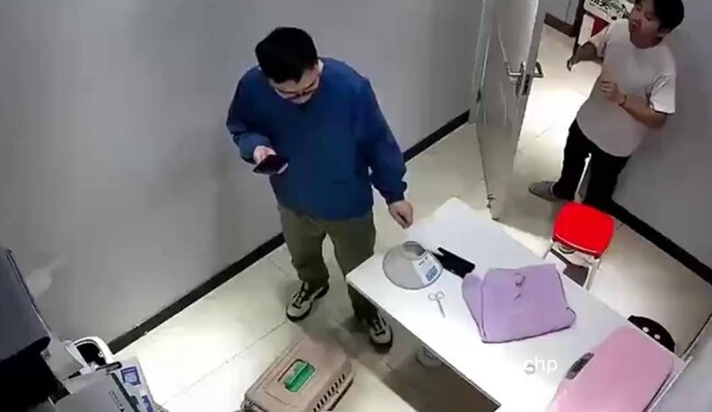 Страшнее кошки звери нет