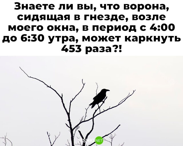 Большая тарелка улыбатора