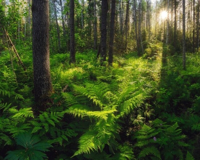 35Awards. Пейзаж-3