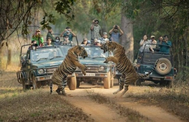 Намешалось