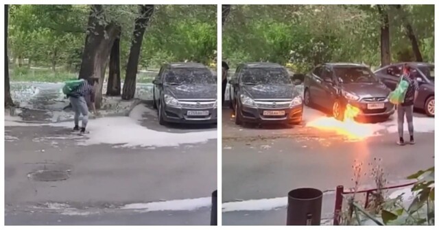 Человеческая тупость