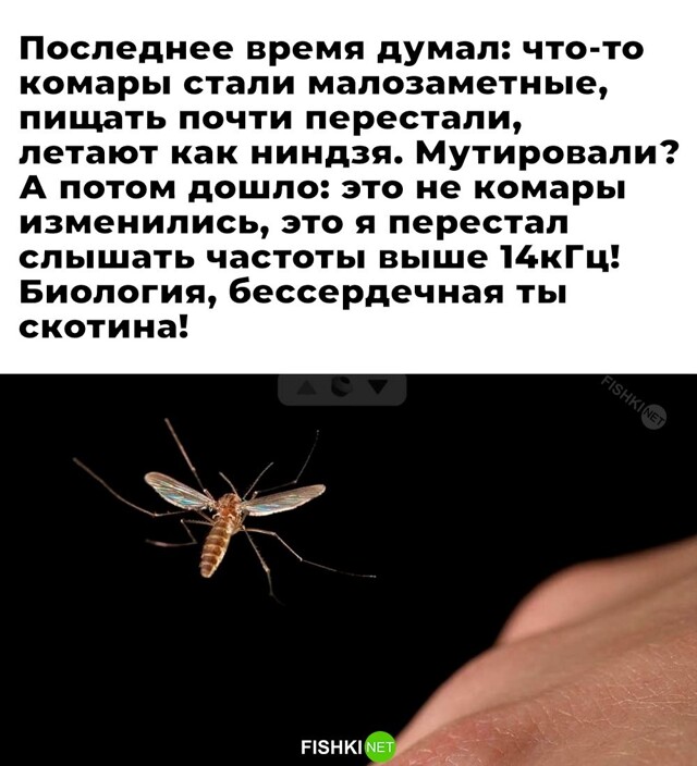 Скрины из соцсетей