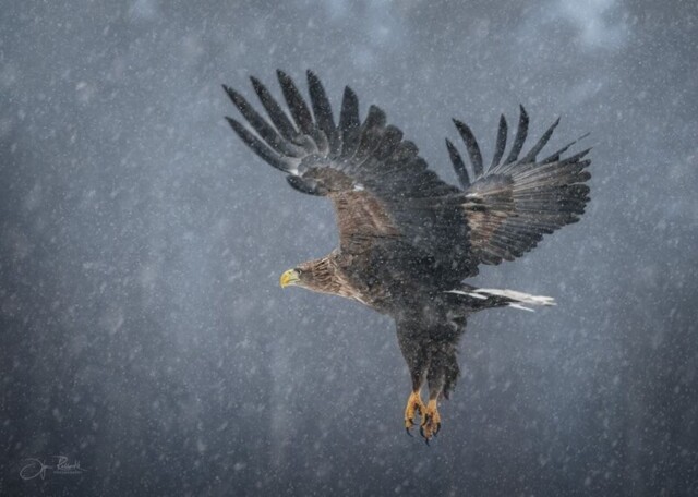 Кто не спрятался, я не виноват