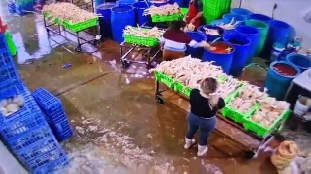 Суровые нравы куриного бизнеса в Перу