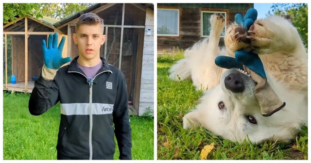 Разгадка оказалась ближе, чем можно было подумать