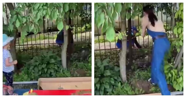 Сотрудница детского сада прогнала наглого закладчика