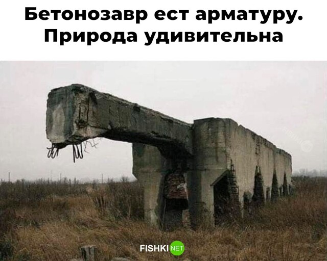 Скрины из соцсетей