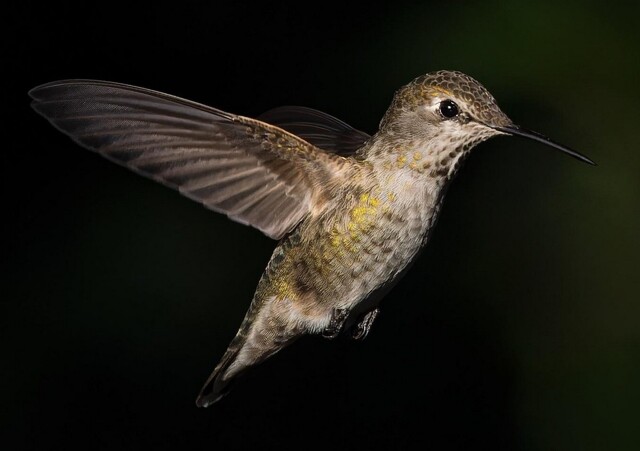 На общую тему 